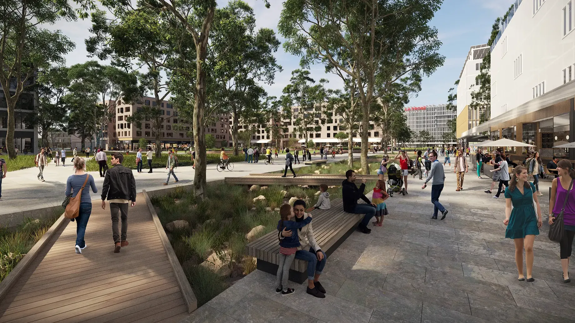 Artist drawing of concept design for seating, trees and pathways on campus