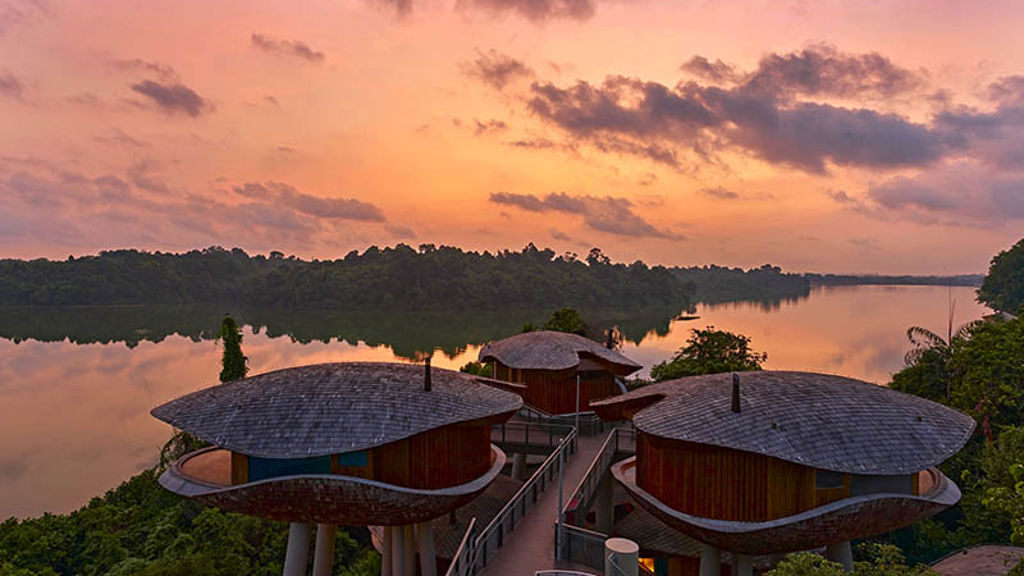 luxury resort with elevated pods in a rainforest