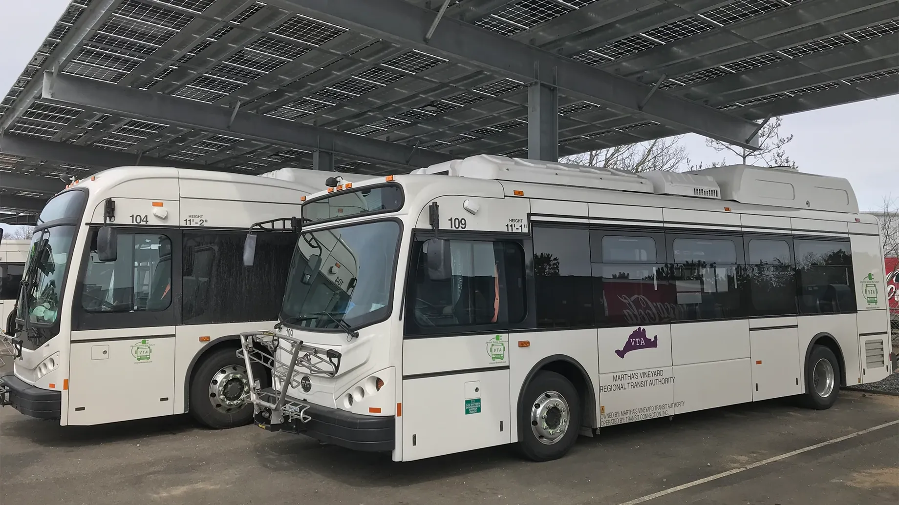 Buses parked under a solar array