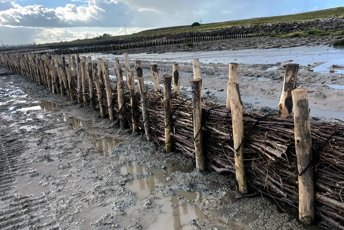 A body of water with a row of wooden posts in it.