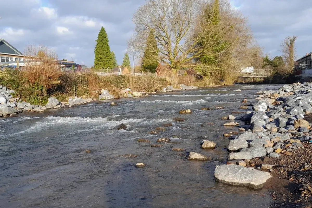 A river with rocks and trees.