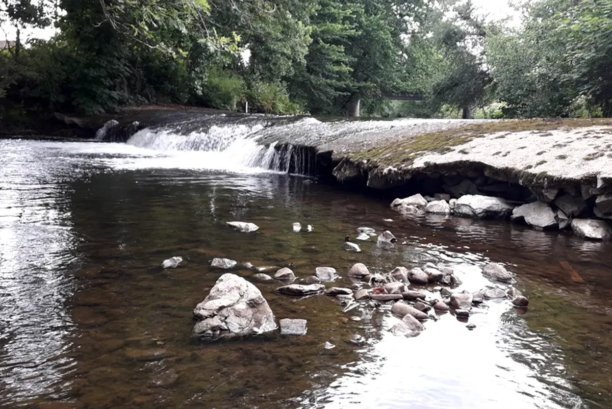 A river with rocks and trees.