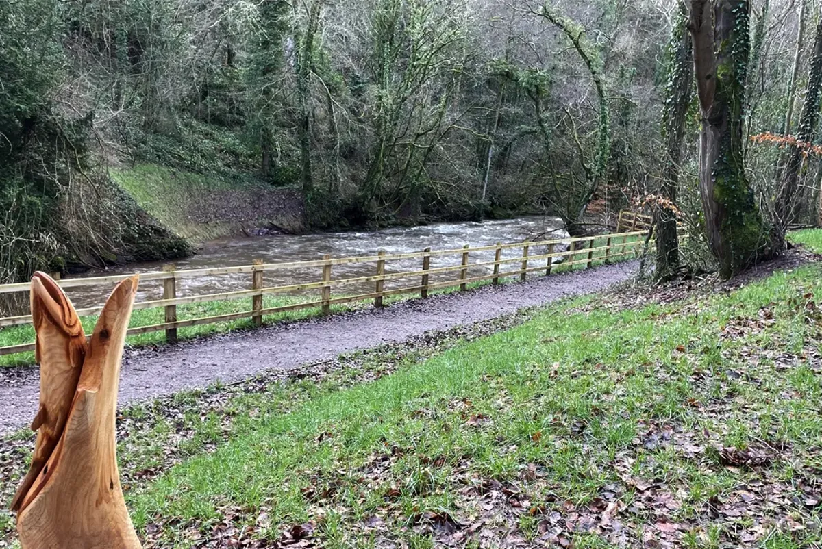 A wooden fence in a wooded area.