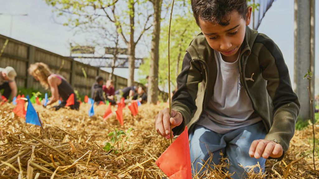 A boy kneeling in a field of hay.
