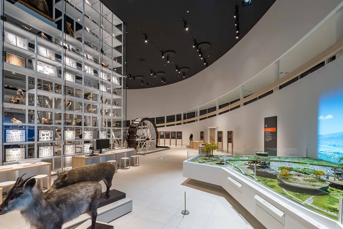 A room with a pool and a large glass wall with a large window.