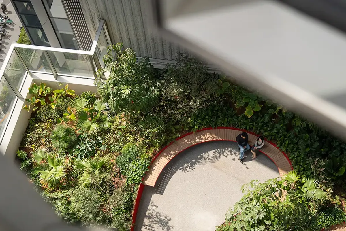 A person sitting on a bench in a courtyard with plants.