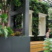 Greening the city in London